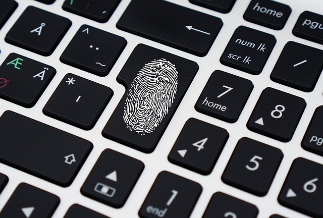 evitar el robo de identidad